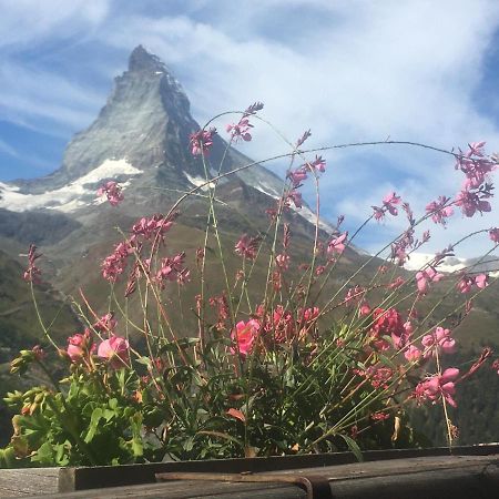 Modernes Studio Zermatt Daire Dış mekan fotoğraf