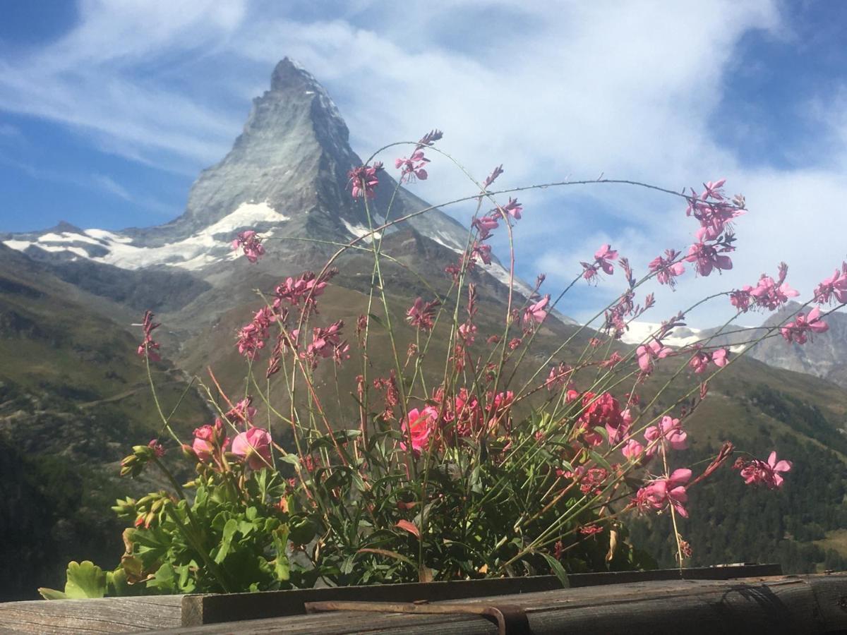 Modernes Studio Zermatt Daire Dış mekan fotoğraf